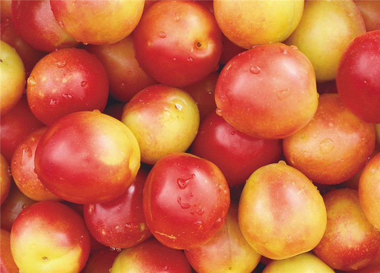 果蔬 新鲜水果 新疆特产小红杏 吊干杏小白杏蜜