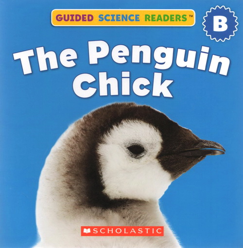 scholastic,energize 英文原版绘本 scholastic guided science readers level b