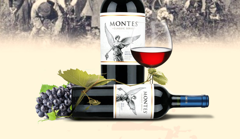 智利进口红酒 蒙特斯经典梅洛干红葡萄酒 750ml*2瓶 双支装_历史最低价格_就买酒