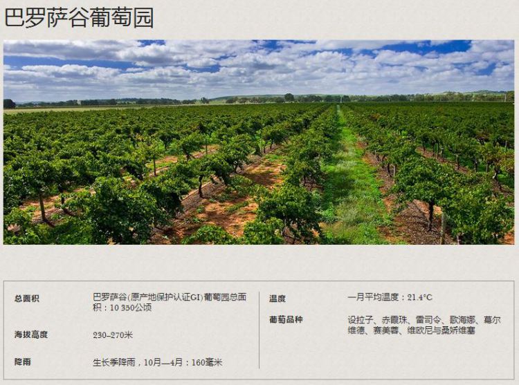 澳洲直邮 PENFOLDS 奔富 蔻兰山 (2015) 霞多