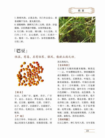 畅销书籍 中国常用中草药图典 正版