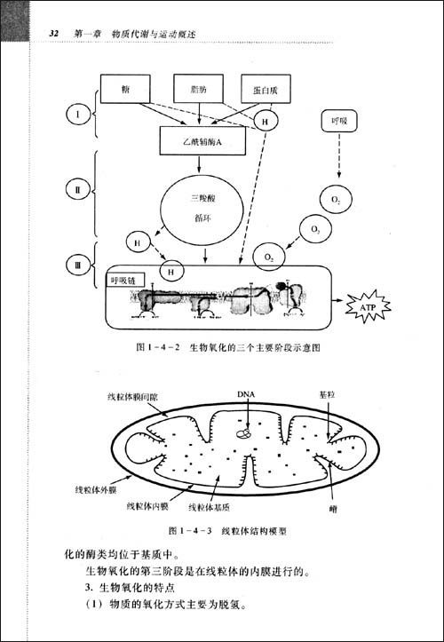 调节效应 京东