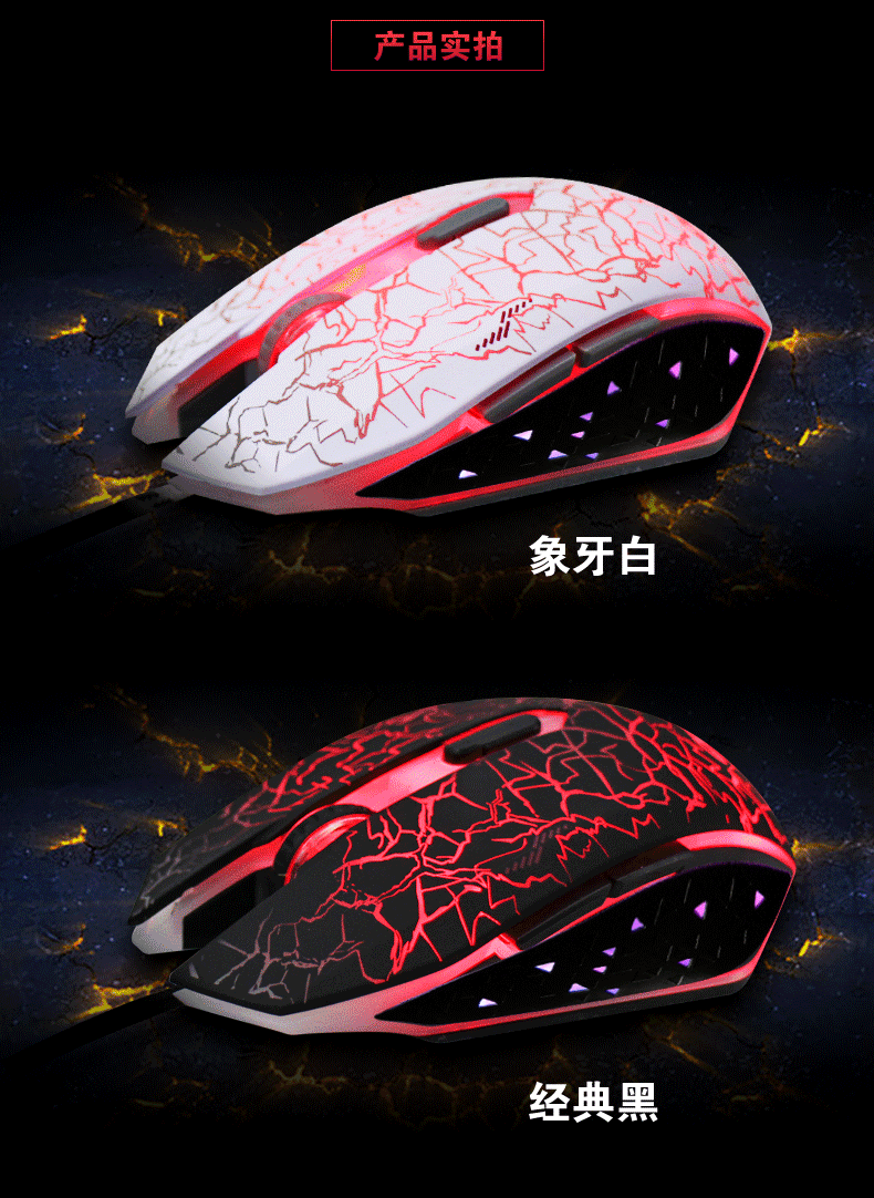 790_1082 竖版 竖屏