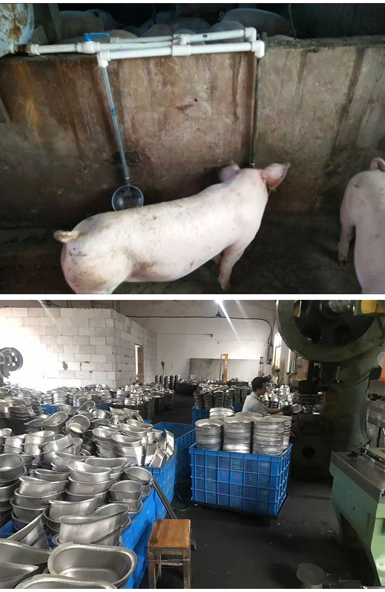 养殖场育肥保育猪碗式饮水器 母猪产床自动喝水槽 猪喝水用圆形饮水嘴