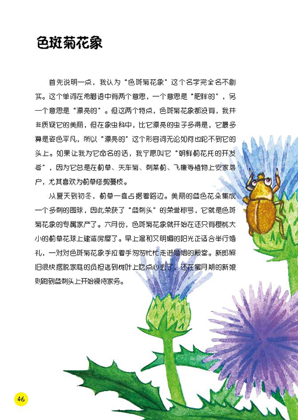 昆虫记 毛虫的故事—松毛虫,叶甲 9787543334953