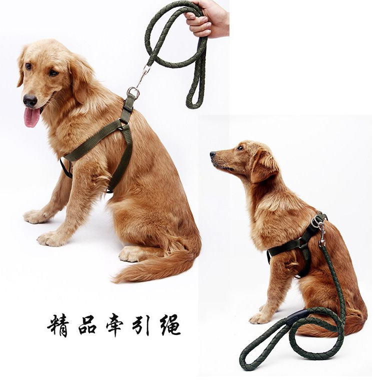 宠尚美宠物狗狗牵引绳胸背带套二套三装中型犬大型犬.