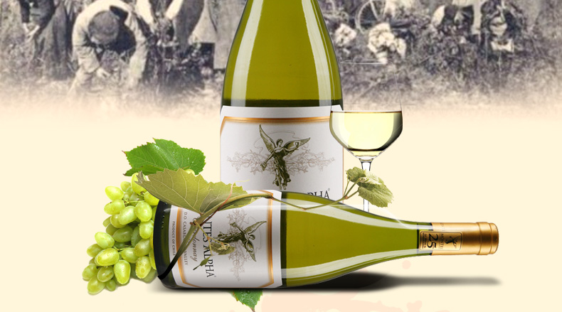 蒙特斯montes 智利进口红酒 蒙特斯欧法欧法莎当妮干白葡萄酒 750ml*2瓶 双支装_历史最低价格_就买酒