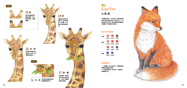 绘森活--呆萌小动物画起来