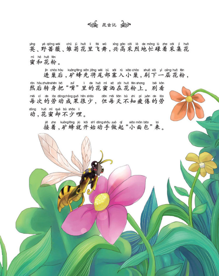 《彩风车成长悦读丛书 昆虫记》(精华本 注音彩绘 全本彩图)