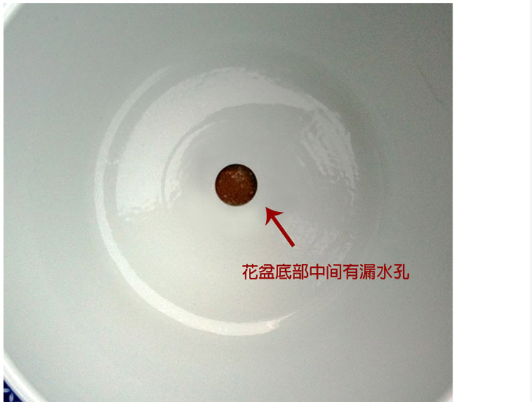 
                                        瓷物语 青花瓷金鱼缸乌龟缸落地大号鱼缸摆件 睡莲居家实用景德镇制 直径53厘米                