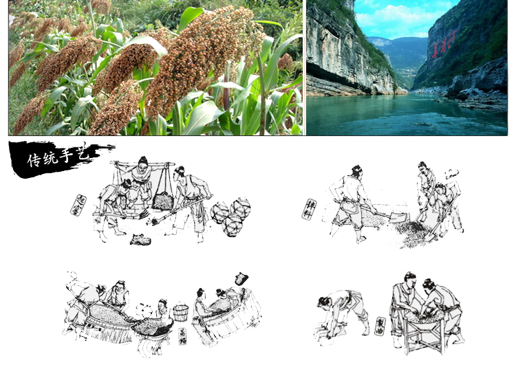 茅台镇坛装白酒 飞天不老浓香型42度大坛酒收