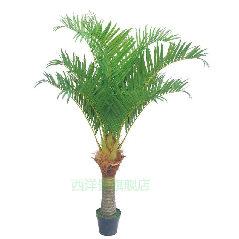非木杆不会烂 定做仿真椰子树椰树酒店餐厅装饰假树大型绿植大树 三杆