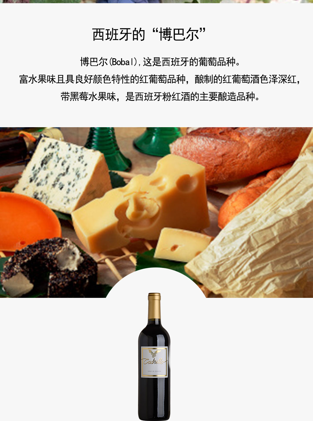 西班牙进口红酒 瓦伦西亚DOP级 凯蒂佑葡萄酒