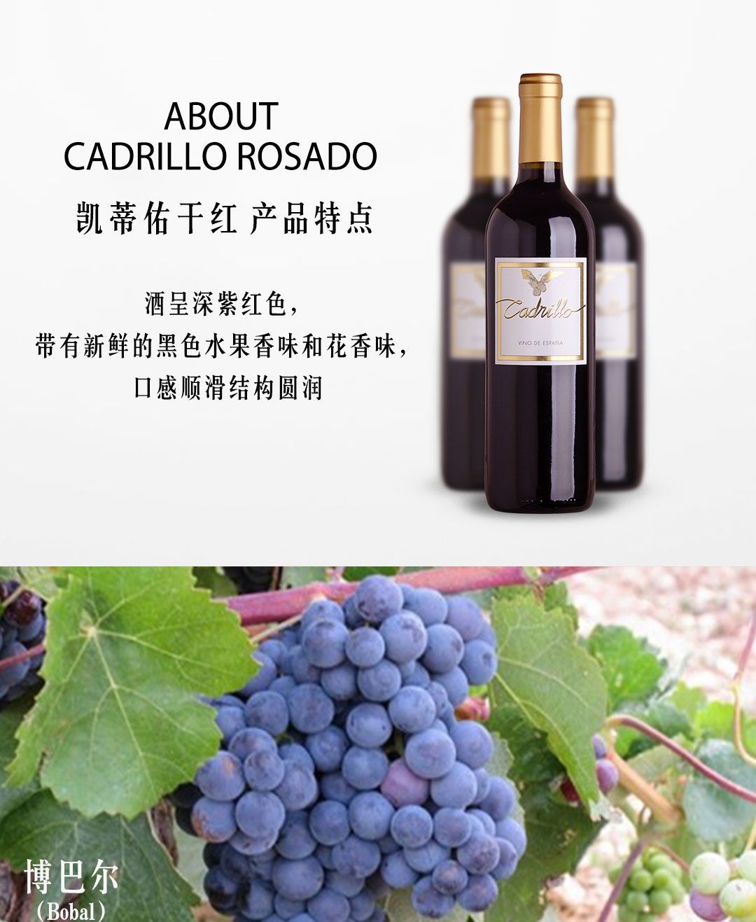 西班牙进口红酒 瓦伦西亚DOP级 凯蒂佑葡萄酒