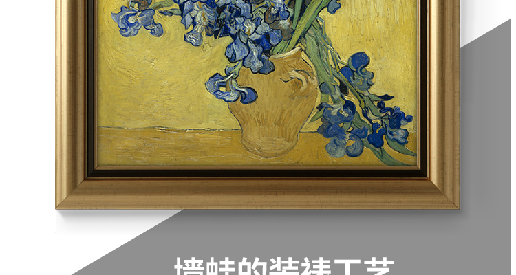 墙蛙 梵高油画欧式客厅装饰画沙发背景墙壁画玄关壁画挂画三联画 ACD一套3幅 优惠9元 金色外框41cmX51cm