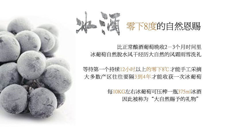 紫轩冰酒名媛金钻冰白葡萄酒375ml威代尔冰酒