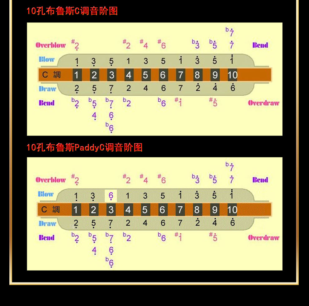 东方鼎 t008ls 白色蓝调布鲁斯 c调10孔 口琴 c调标准款