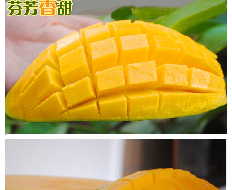 海南大青芒 7.98元\/斤 单果约900g(如收到的芒