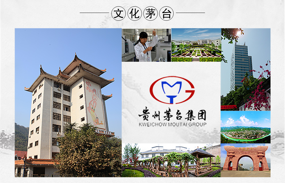 酒龙仓 贵州茅台集团白金酒厂匠中匠黑金版 酱