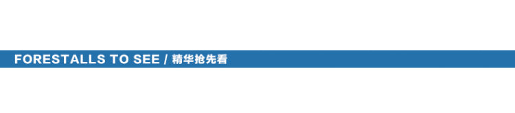 德国YOULET304不锈钢毛巾架浴巾架浴室挂件套装 B套餐两件套