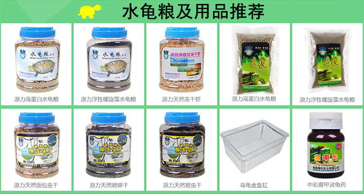 原力龟缸*1个养龟盆养幼鱼用缸草龟巴西龟水龟