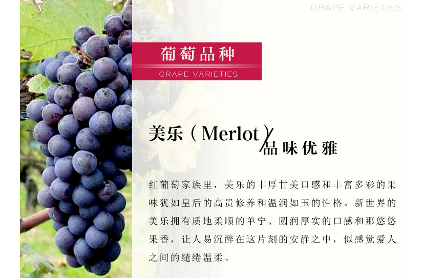 澳洲三洋酒业 壁虎系列美乐干红葡萄酒 澳洲原