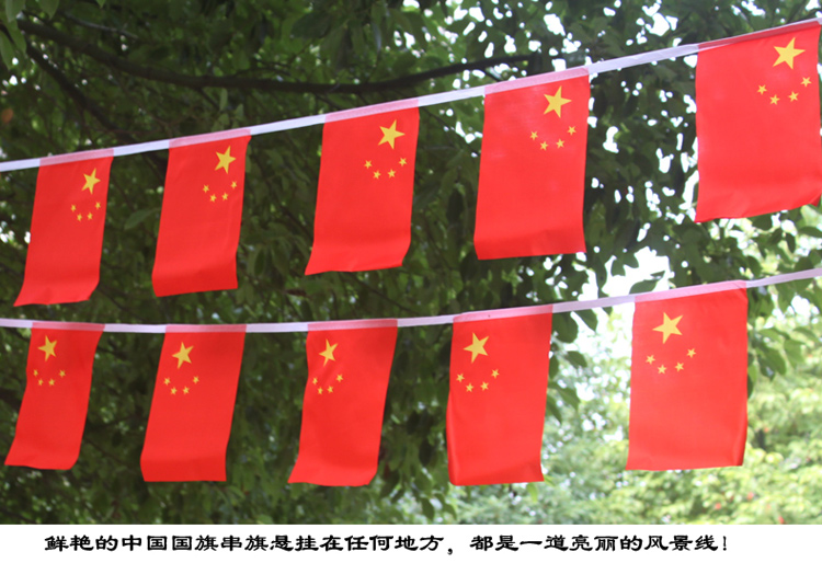 
                                                            居梦坞 装饰用品商铺学校 国旗装饰吊旗防雨防晒波浪旗串旗五星红旗 旗帜春节新年过年装饰用品 7号手摇旗20*30厘米                