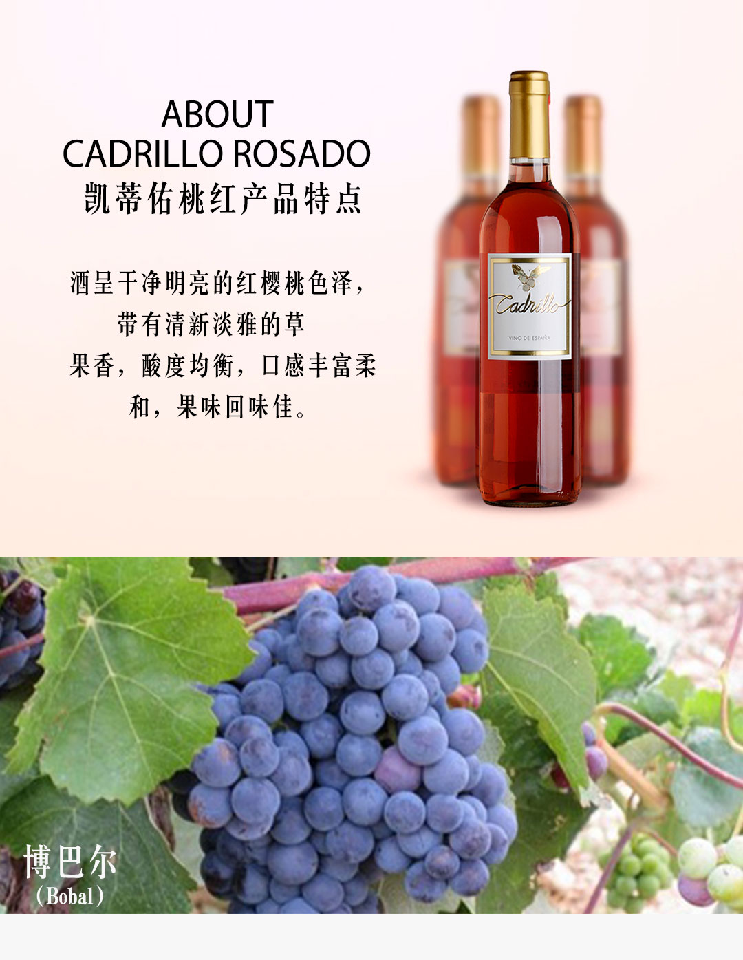 西班牙进口红酒 瓦伦西亚DOP级 凯蒂佑葡萄酒