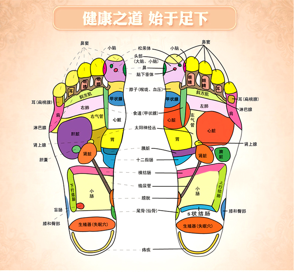 冀恒康 足底按摩器 木质滚轮搓排 脚底按摩器 足部经络按摩轮 脚搓排