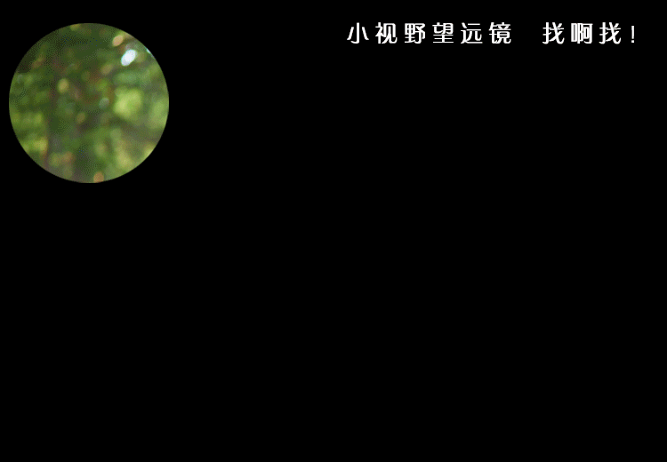 自由鹿(freedeer) 双筒10x42望远镜成人专业高倍高清 微光夜视专业非