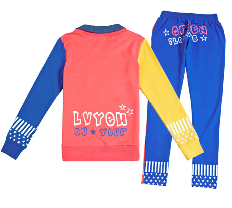 休闲套装2014春秋新款女运动套装棉修身卫衣