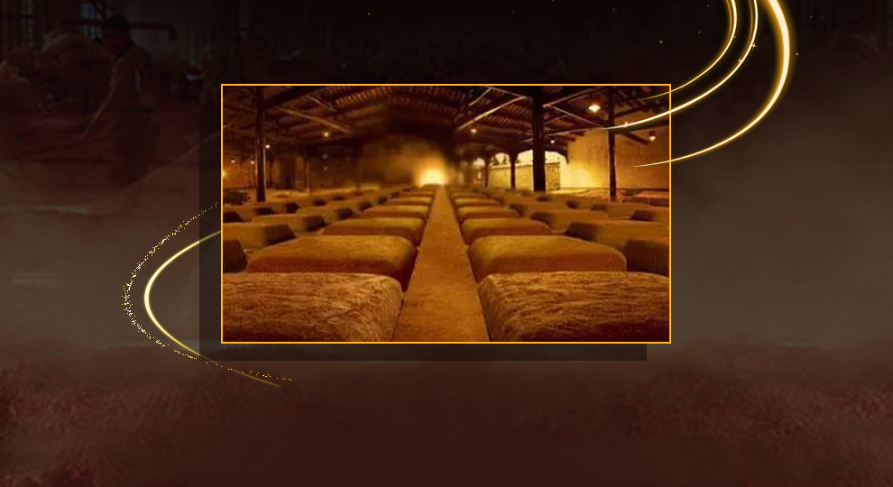 【京东超市】贵州茅台集团 52度茅台醇 百年辉