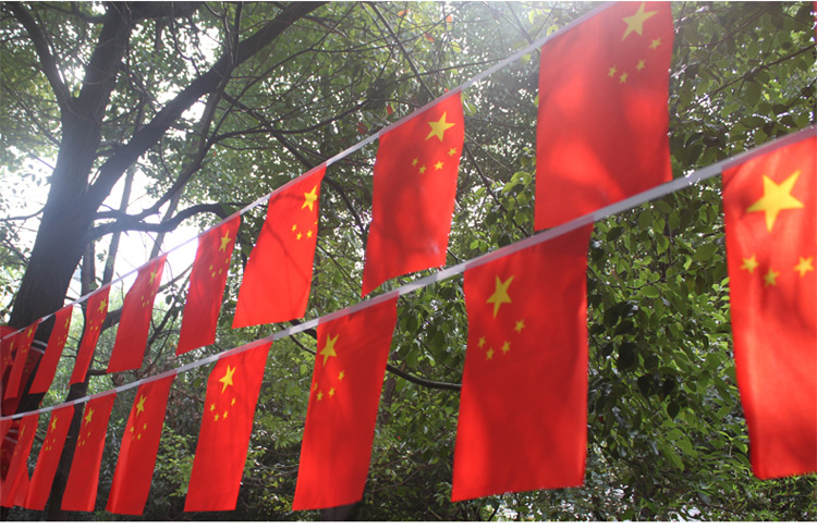
                                        贴贴福 中秋国庆节布置新年春节装饰现场布置防雨防晒中国国旗串旗五星红旗旗帜店铺酒吧装饰旗帜 国旗脸贴                