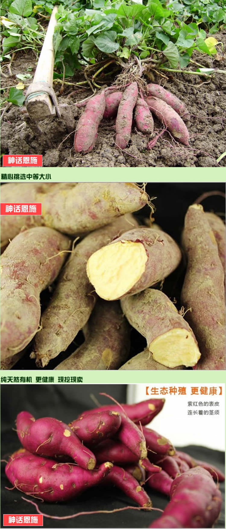 恩施巴东天然农家小红薯 小番薯 红皮红心老品种 甜红薯番薯地瓜