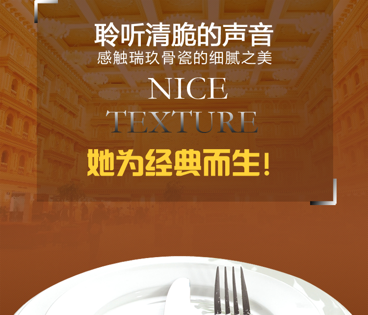 
                                                            瑞玖 纯白骨瓷餐具8寸10寸10.5寸平盘西餐盘菜盘子牛排盘菜盘拼盘陶瓷盘 10英寸                