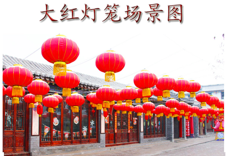 
                                        盛宝 绸缎布金边灯笼喜庆红灯笼婚庆挂饰大红灯笼阳台户外元旦过年可带电源灯笼灯 绸缎布金边灯笼120#灯笼+电源线                