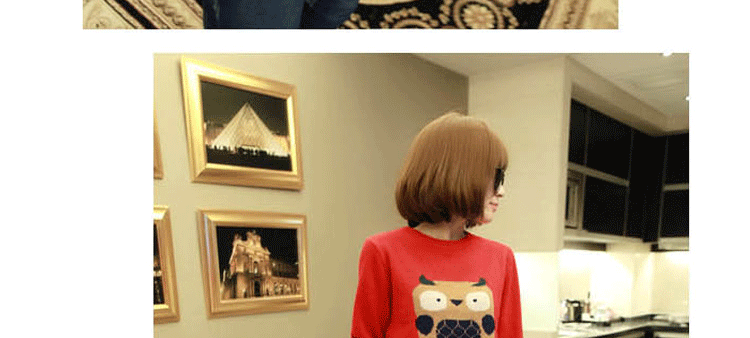 伊品尚 2015秋季新款休闲圆领套头宽松毛衣韩版卡通猫头鹰显瘦打底针织衫百搭学生毛衣衫女 灰色 均码