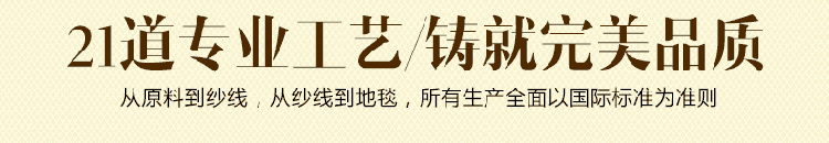
                                        加厚手工羊毛质感地毯欧式田园简约现代风卧室床前客厅茶几地垫 机织混纺高密立体雕花 1252W 180*250cm                
