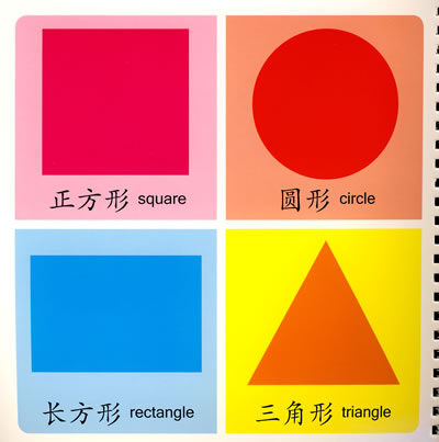 【sd正版】小海豚宝宝早教圈圈书(基础篇):颜色形状对比 本社 广州