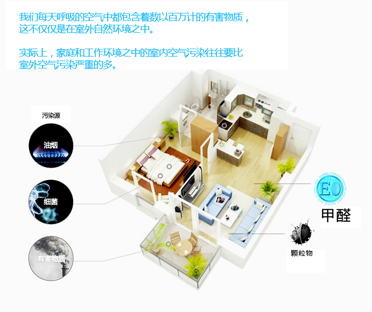 除甲醛空气净化器检测_甲醛净化吸附剂_净化甲醛的室内植物