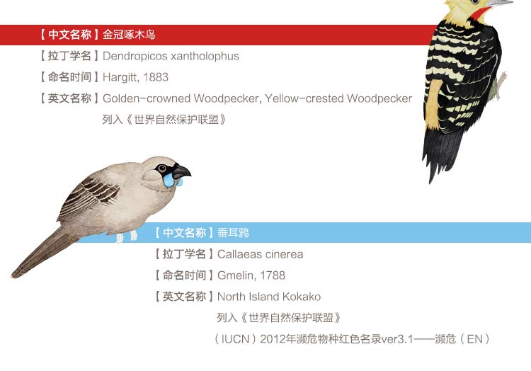
                                        墙蛙 客厅装饰画现代沙发背景墙画简约三联画餐厅卧室挂画壁画 喜上枝头 一套三幅优惠组合 72cmX72cm                