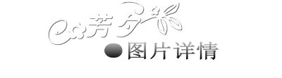芳夕 B023陶瓷香薰炉 超大容量香熏炉 蜡烛香薰灯 红色