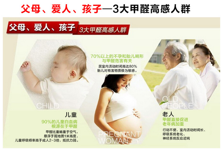 装修甲醛清除剂（净醛2号）