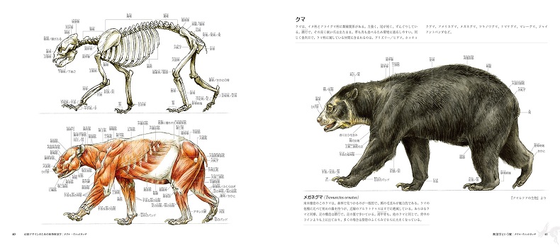 这类作品当中,几乎无可避免地必然会有幻想生物的登场,而幻兽角色塑造