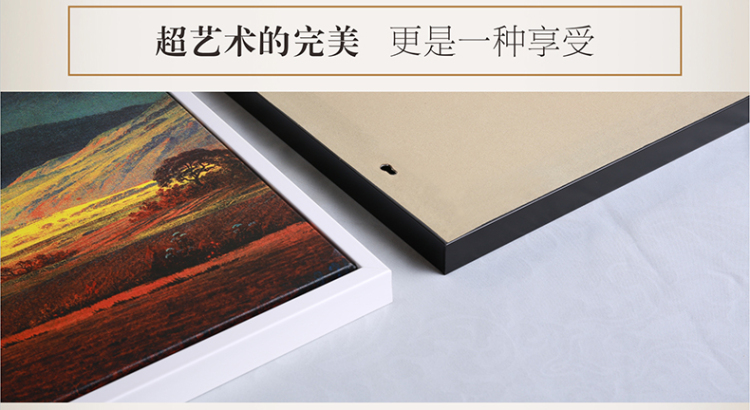 梵格 世界名画书房壁画卧室装饰现代简约客厅装饰画玄关挂画油画 vck0011 70X50cm