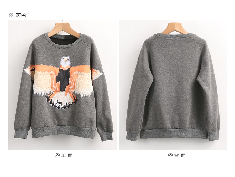舒雪儿2014冬新款韩版长袖加厚大码宽松女上衣短款卫衣-SXE5058 黑色 XL