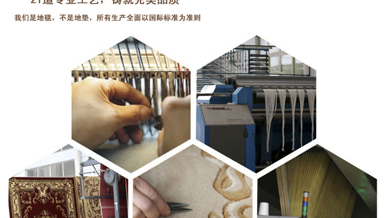 
                                        青格勒 卧室床边地垫 走廊玄关地垫进门地垫仿羊毛地垫 做工精美脚感舒适 1255B藏蓝色 1000*1500MM                