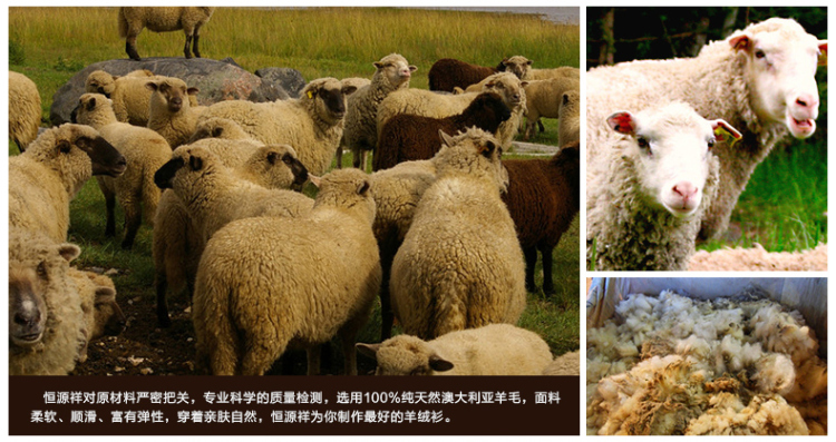 恒源祥<em>女士羊毛衫</em>2014春季新款 <em>纯羊毛</em>女<em>开衫</em>