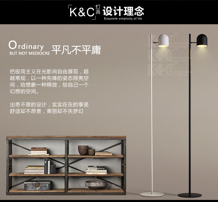 
                                        kc灯具个性北欧简约铁艺灯罩落地灯 客厅书房卧室创意落地灯 F3812-1黑色 白光                