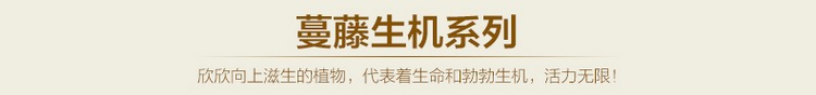 梓晨 创意可爱抱枕套沙发靠垫沙发抱枕套可加抱枕芯 咖啡伴侣 45*45cm(不含枕芯)